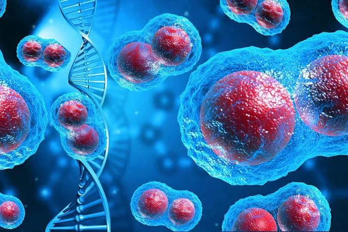 Colorectal-Cancer1.jpg