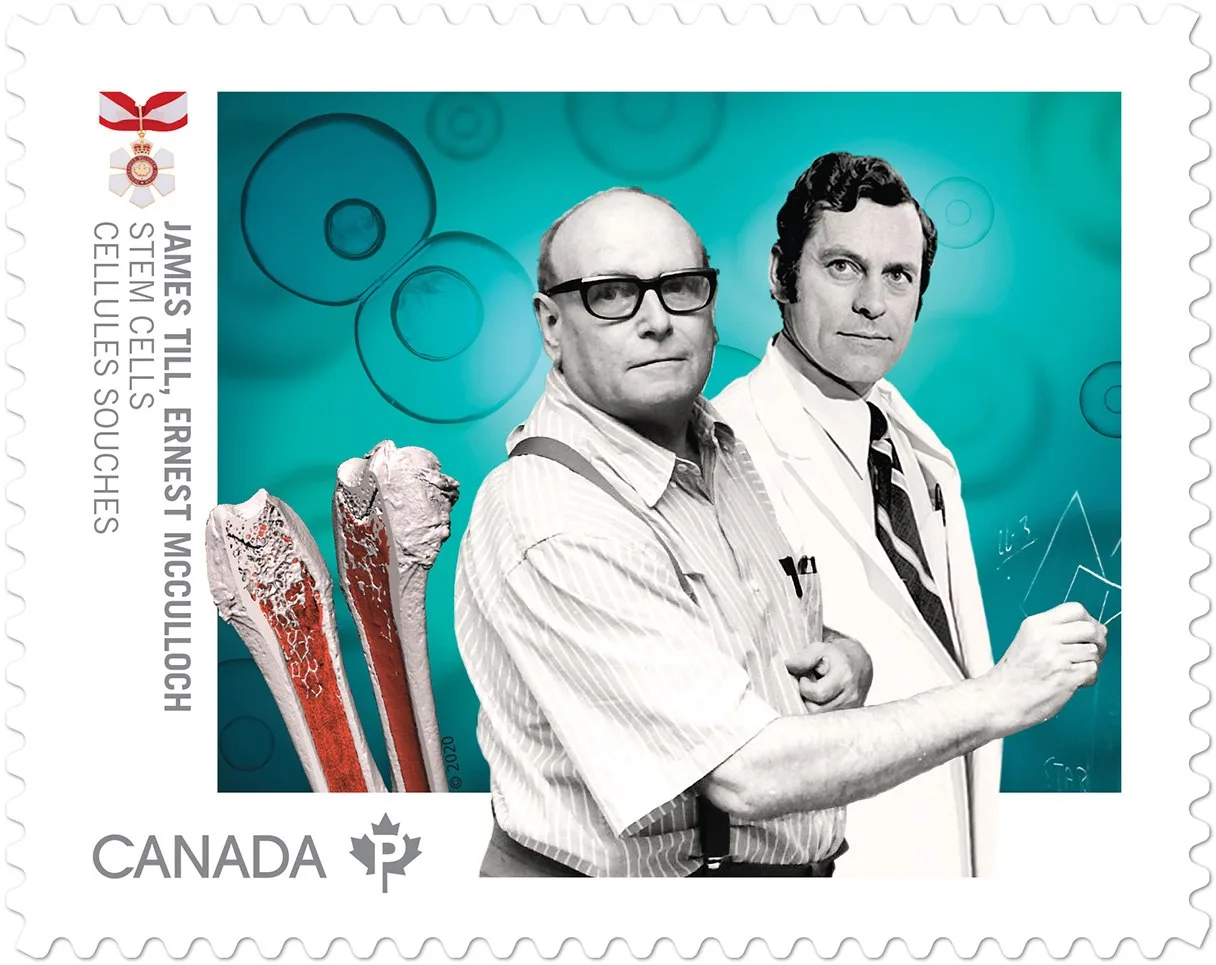 43-James-Till-and-Ernest-McCulloch.jpg