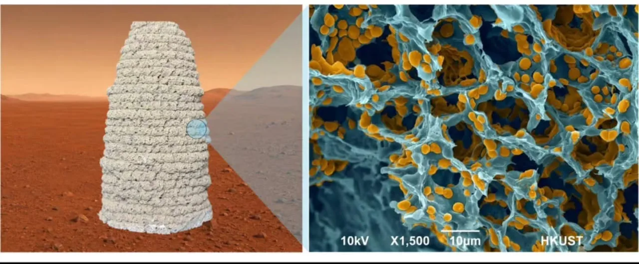 mars-lives.jpg