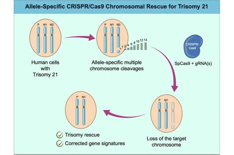 using-crispr-to-remove.jpg
