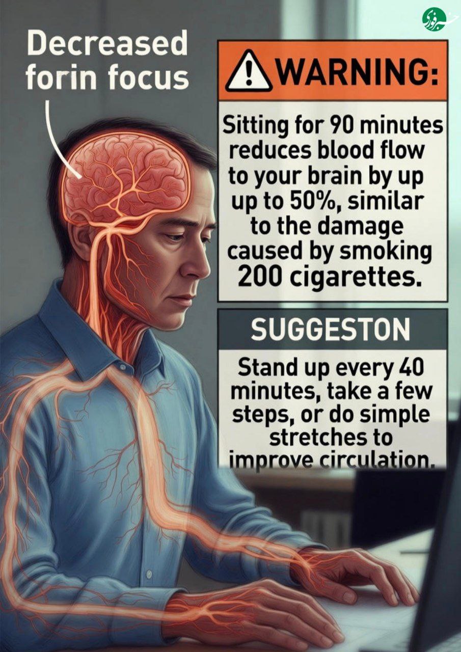 photo_۲۰۲۵-۱۲-۲۲_۰۰-۱۱-۲۶