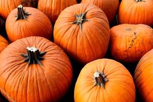 خواص شگفت‌انگیز «کدوحلوایی» و روش‌های مصرف آن 