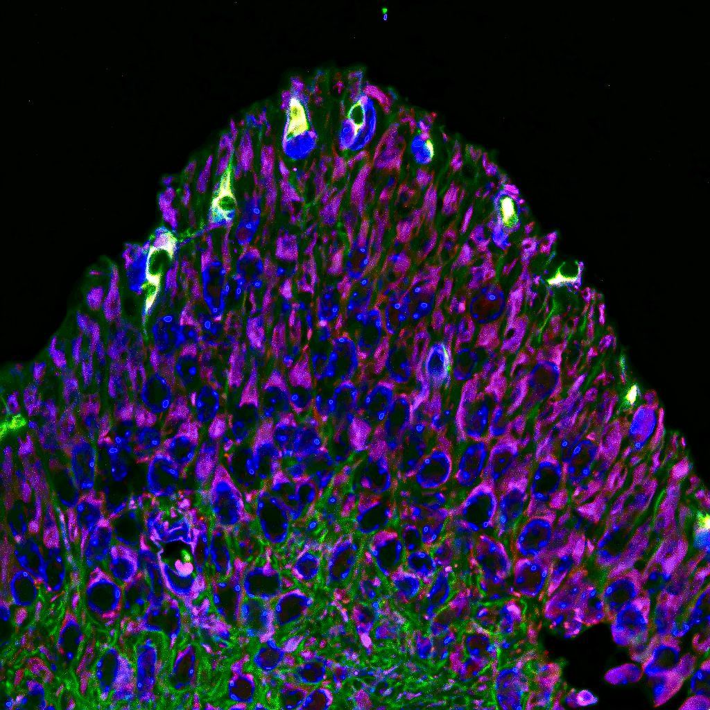 نگاهی به تصاویر علمی ماه به انتخاب مجله نیچر