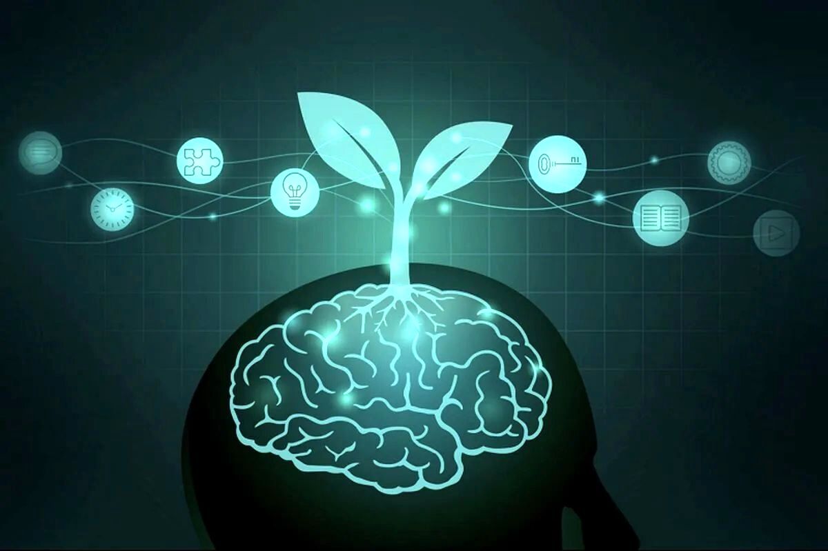 آیا تحصیلات در ابتلا به زوال عقل تاثیر دارد؟