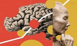 چین در خط مقدم نبرد با آلزایمر