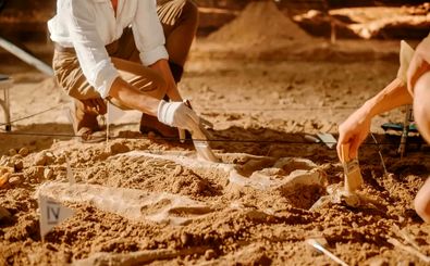 کشف شگفت‌انگیز دانشمندان: فسیل ۵۲۰ میلیون ساله با مغز و روده‌هایی سالم مثل روز اول پیدا شد