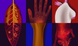همه ما می‌درخشیم؛ اما چرا؟