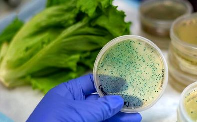 تشخیص آلودگی آب و غذا در کمتر از ۴ ساعت