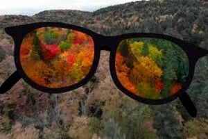 کوررنگ‌ها جهان را چگونه می‌بینند؟/ ویدئو