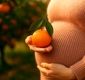 خواص و مضرات مصرف نارنگی در بارداری چیست؟