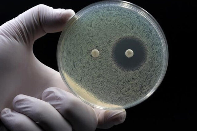 وعده هوش‌مصنوعی برای نبرد با مقاومت آنتی‌بیوتیکی