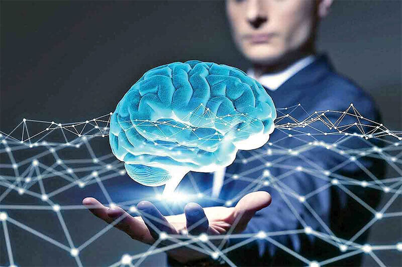 انسان برای زنده ماندن به چه مقدار از مغز خود نیاز دارید؟