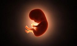 سقط جنین از نگاه مردان؛ روایتی کمتر شنیده‌شده