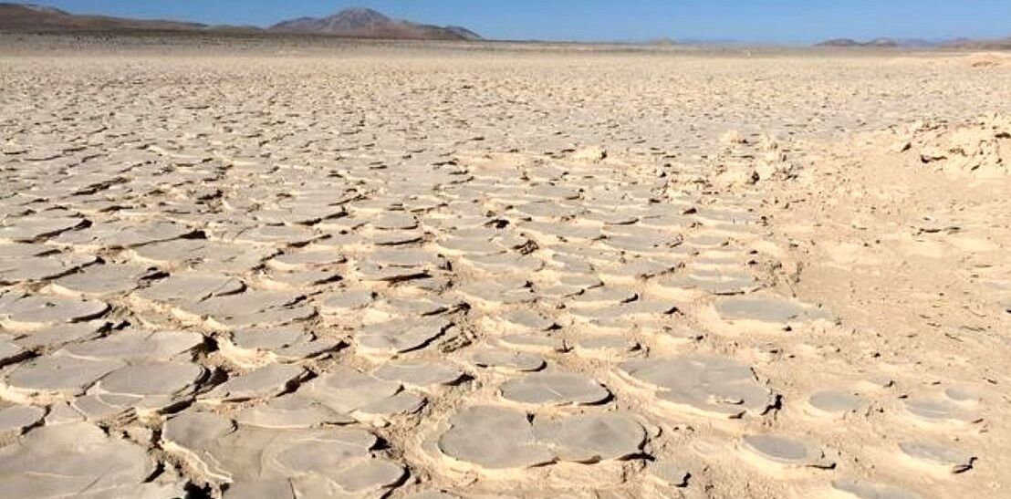 کشف یک «زیستگاه» عظیم در عمق چهار متری خشک‌ترین صحرای جهان