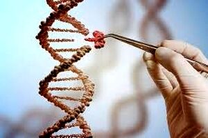 ابداع اولین داروی ترمیم DNA و بازسازی بافت آسیب‌دیده 
