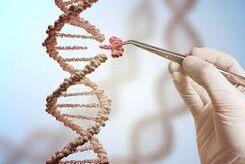 ابداع اولین داروی ترمیم DNA و بازسازی بافت آسیب‌دیده 