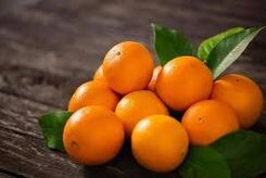میوه محبوب زمستانی که از سیستم ایمنی شما محافظت می کند 