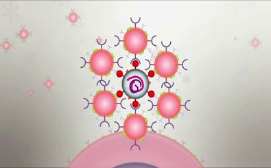 ساخت اسفنجی که خونریزی را بند می‌آورد