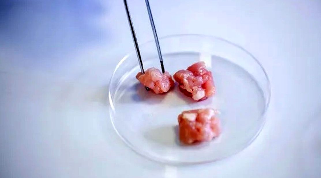 دستگاهی که با آن می‌توانید در خانۀ خودتان «گوشت» پرورش دهید 