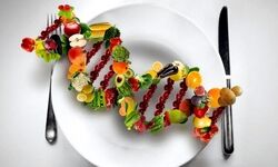 ژن‌ها غذاهای مورد علاقه و خطر ابتلا به بیماری‌ها را پیش‌بینی می‌کنند؟