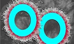 نسل تازه‌ای از نانوذرات هوشمند برای نابودی پروتئین‌های مرگ‌آور