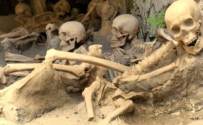 کشف ۳۱۷ اسکلت چندصدساله در زیر محل یک فروشگاه قدیمی