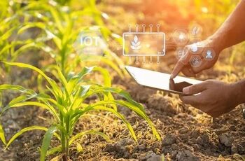 هوش مصنوعی چگونه می‌تواند کمبود نیروی کار کشاورزی را جبران کند؟
