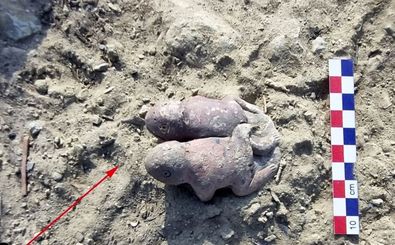 «قورباغه‌های به هم چسبیده» بعد از 3800 سال از زیر خاک بیرون آمدند 