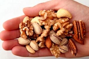 مغز این میان‌ وعده‌ ها را دوست دارد