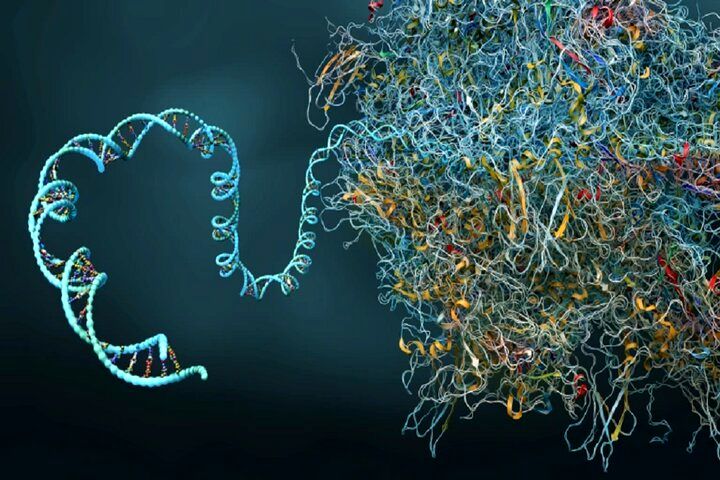 دانشمندان کپسول زمان سلولی ساختند