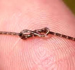 دستاورد اعجاب‌انگیز دانشمندان چین: تولید تراشه‌ کامپیوتری باریک‌تر از موی انسان 