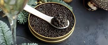 رقابت جهانی برای تصاحب بازار خاویار؛ ژاپنی‌ها استروژن‌های نر را به ماده تبدیل کردند/ ویدئو