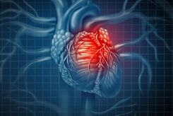 پایش علایم حیاتی قلب با دستگاه قابل حمل دانش‌بنیان