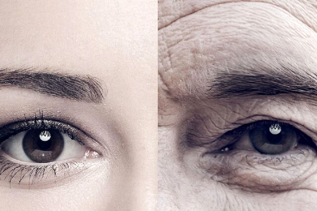 چرا موجودات زنده، پیر می‌شوند؟