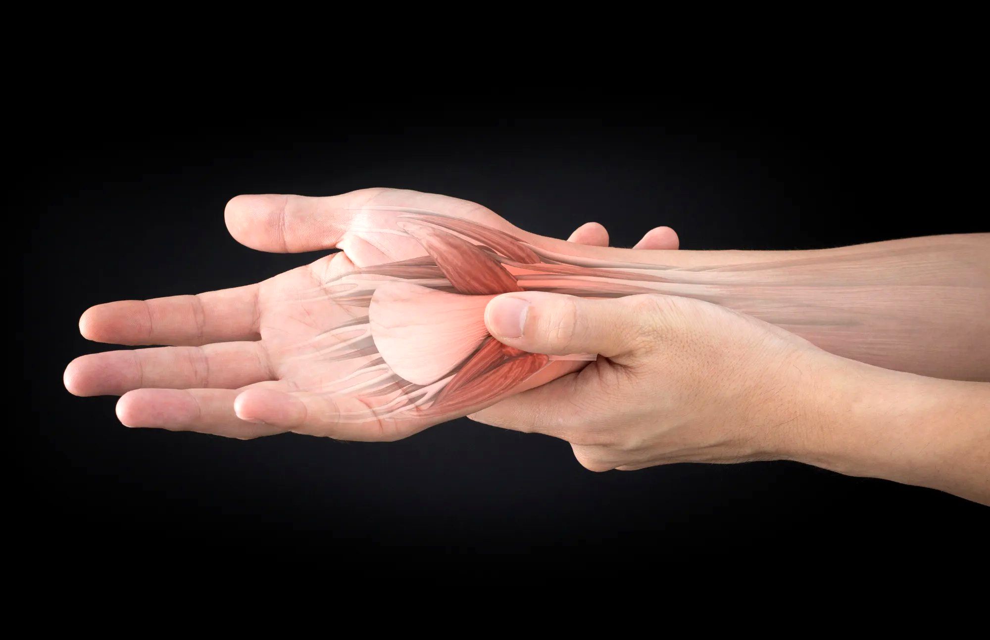 تاندون‌ چیست و چطور آسیب می‌بینند؟