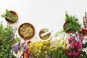 رایحه گیاهان می‌تواند از حافظه و ذهن، محافظت کند