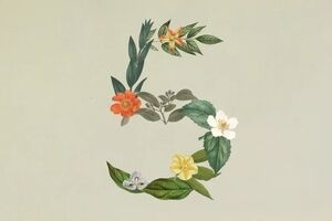 رونمایی از جدیدترین هوش مصنوعی «آنتروپیک»