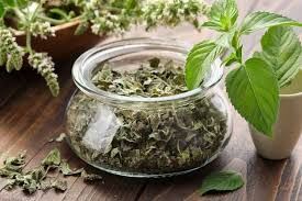 بادرنجبویه: گیاهی معجزه‌گر برای زیبایی پوست و سلامت کبد