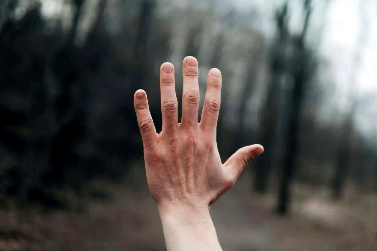 چرا انسان‌ها در هر دست‌ و پاهای خود ۵ انگشت دارند؟ 