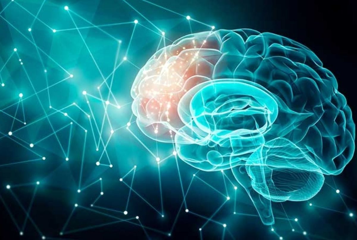 مغز انسان بین ۵۵ تا ۶۰ سالگی به اوج توان ذهنی خود می‌رسد 