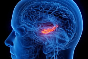 کوچک شدن مرکز حافظه مغز در افراد افسرده 