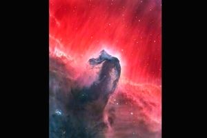 عکس روز ناسا از «سحابی سر اسب»