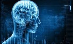 بهترین روش‌های جوان نگهداشتن مغز