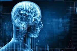 بهترین روش‌های جوان نگهداشتن مغز