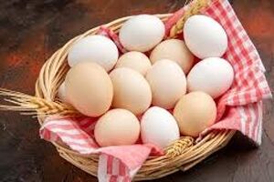 همۀ آنچه باید دربارۀ نگه‌داری از «تخم‌مرغ» بدانیم 