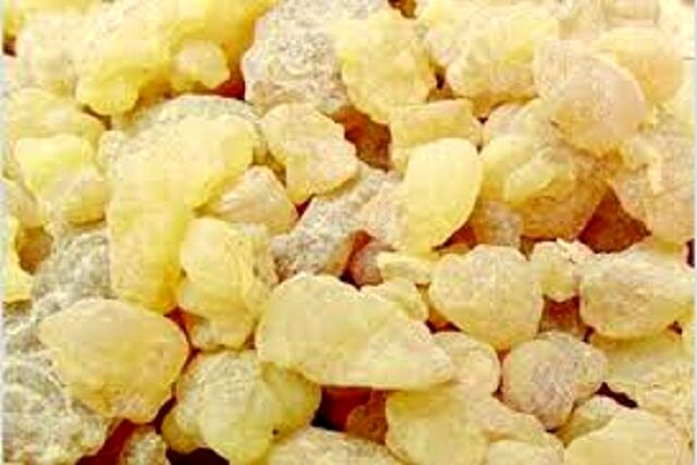 کندر میتواند التهاب ناشی از اماس را کاهش دهد