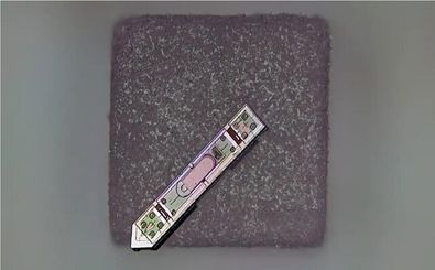 ابداع یک ایمپلنت مغزی کوچک‌تر از یک دانه نمک