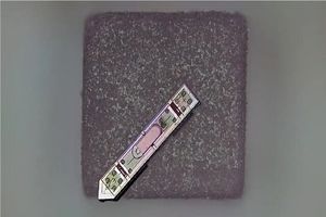 ابداع یک ایمپلنت مغزی کوچک‌تر از یک دانه نمک