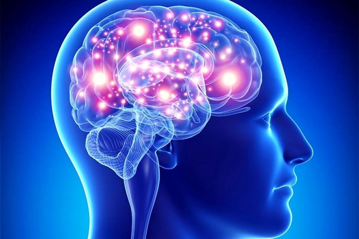 مغز انسان چگونه به حافظه شکل می دهند؟/ ویدئو