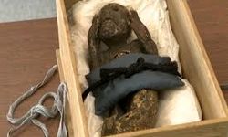 راز شگفت‌انگیز پری دریایی مومیایی شده در ژاپن